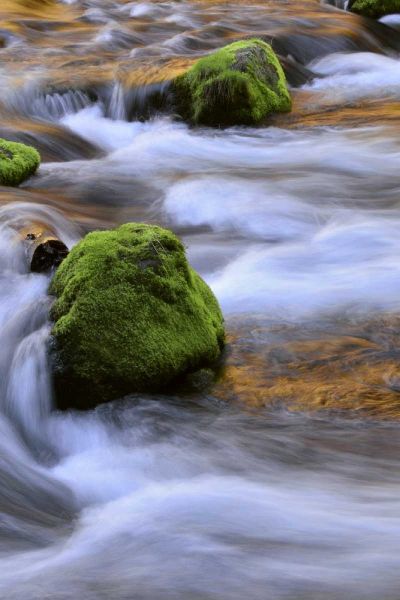 Oregon, Willamette NF McKenzie River over rocks